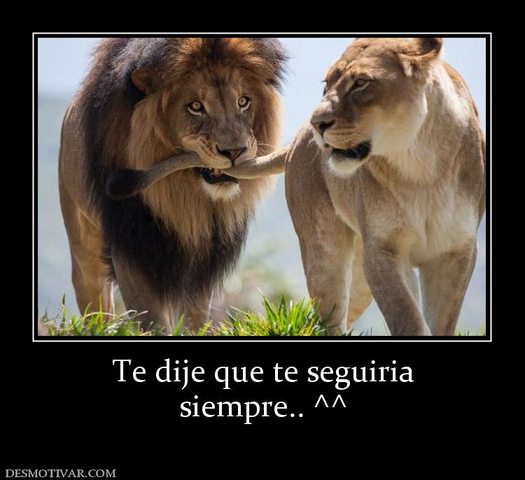 Te dije que te seguiria siempre.. ^^